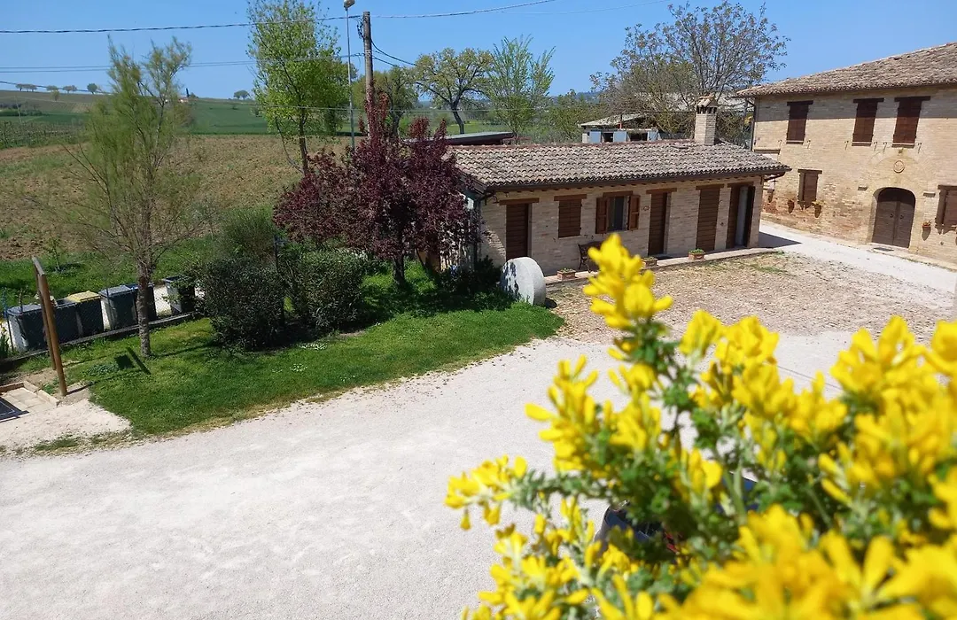 Agriturismo Il Borghetto-1
