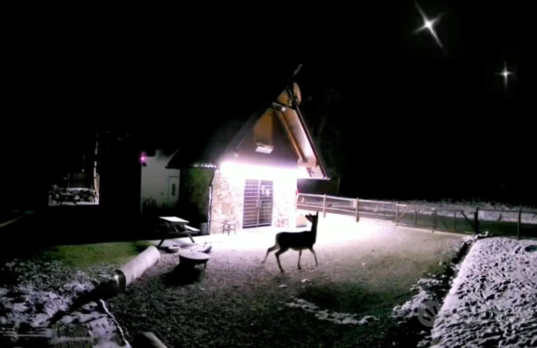 La Luna Delle Montagne Charme & Spa Chalet-1