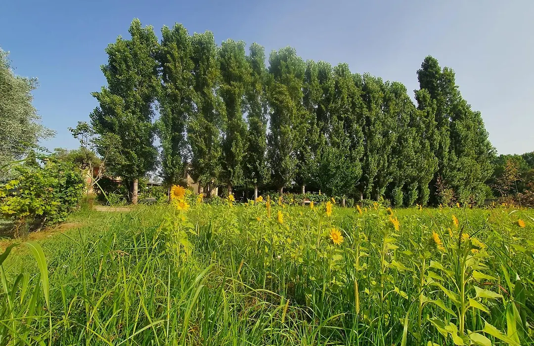 Fattoria Il Giardo-1