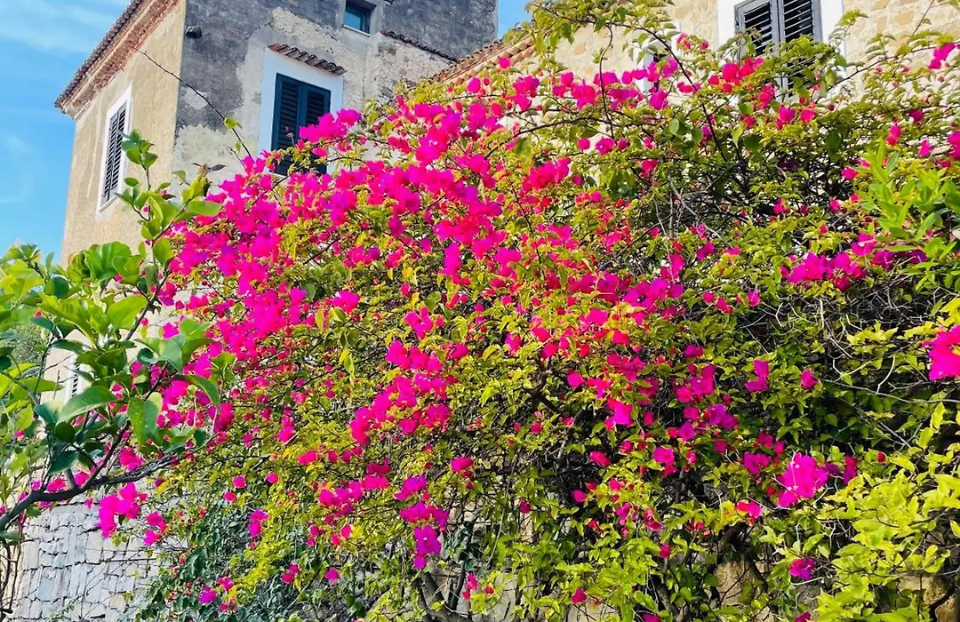 Casa Colonica-1