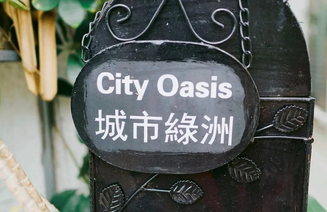 City Oasis Guesthouse-1