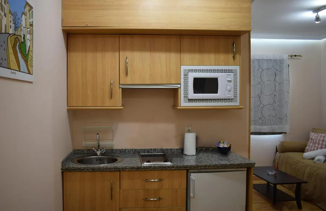 Apartamentos Sierra Nevada 3000-1