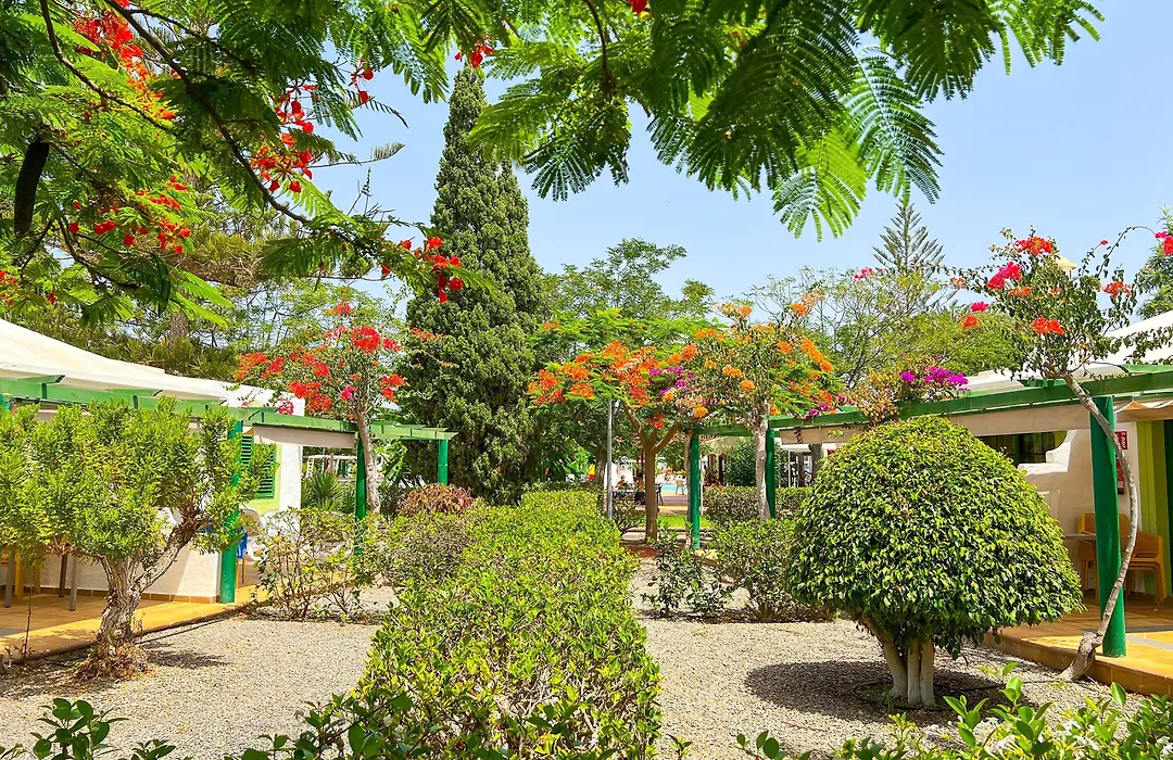 Bungalows Cordial Sandy Golf-1