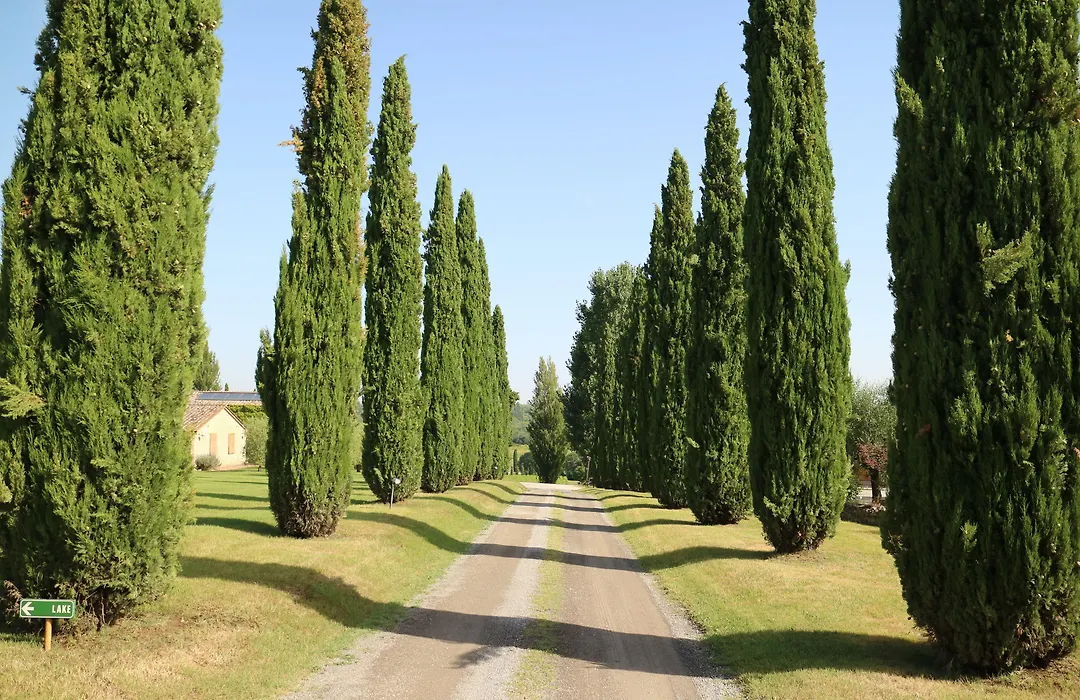 Agriturismo La Sovana-1