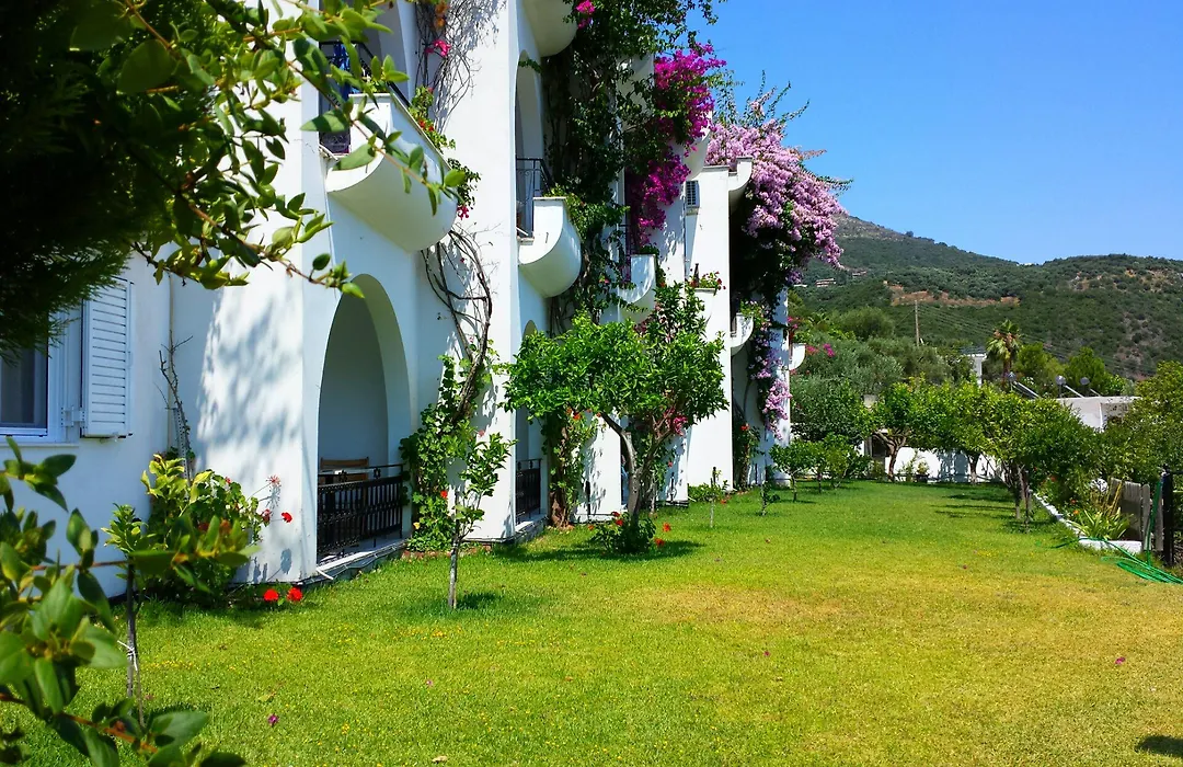 Spiros Studios-1