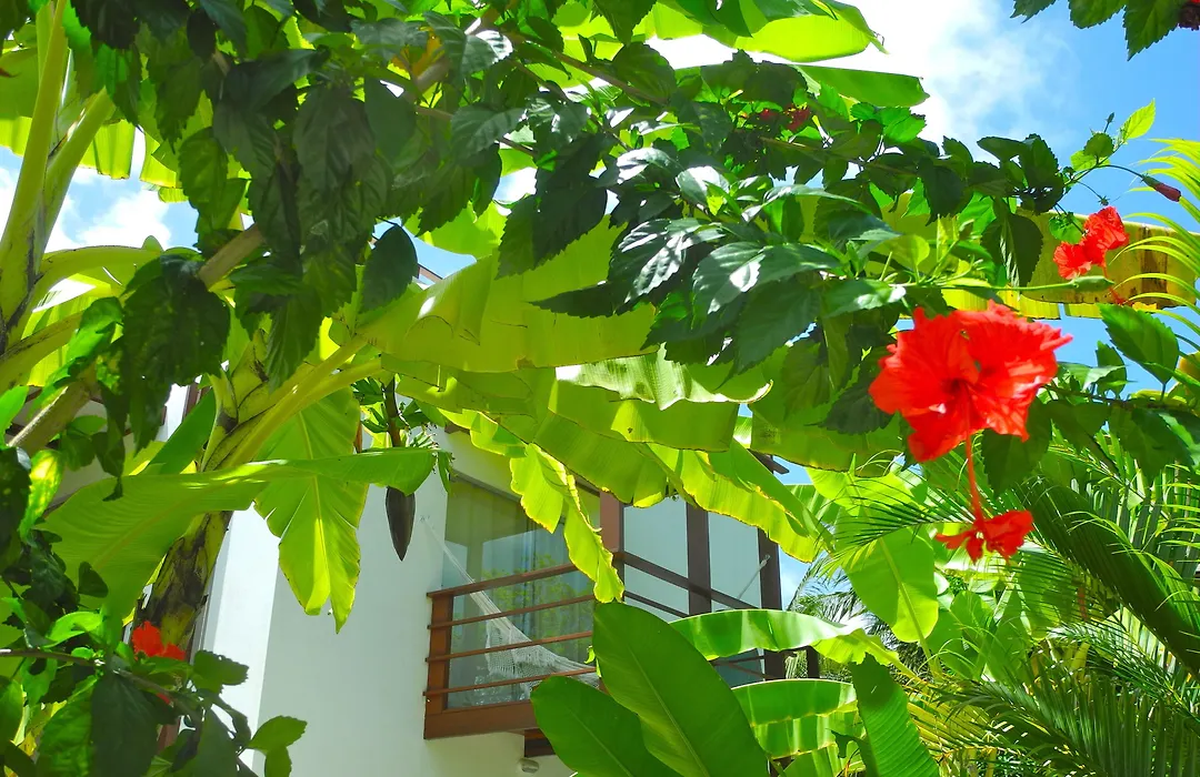 La Reserve Design Villa Ida-1