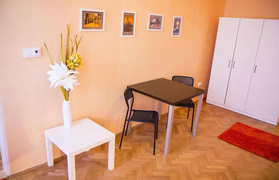 Lidicka Apartment-1