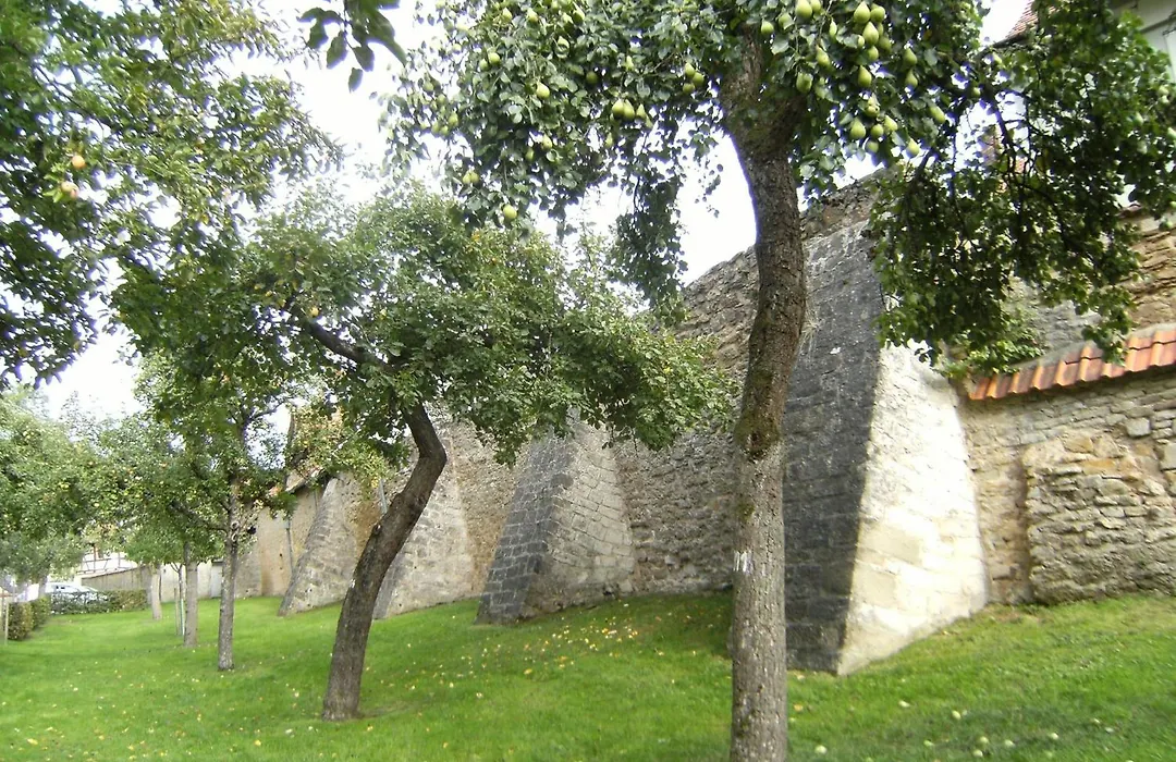 Die Gönothek - Ferienwohnungen-1