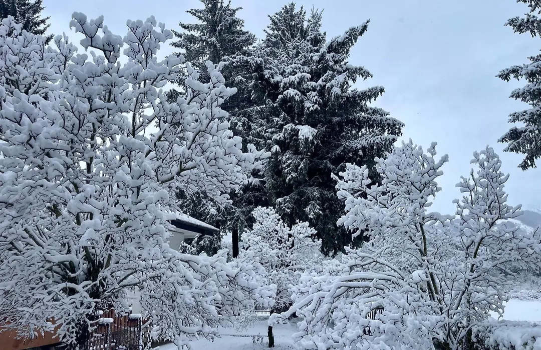 Chalet dell'Orso-1