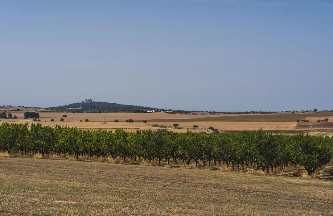 Masseria Torre Di Nebbia-1