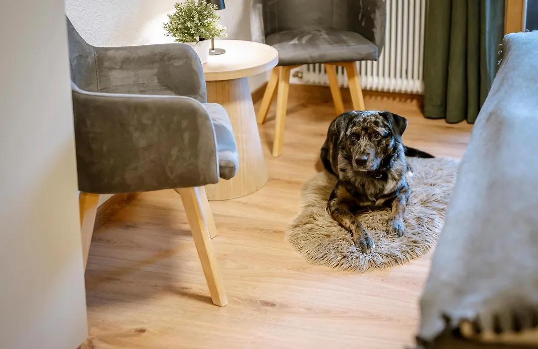 Haus Tisch-1