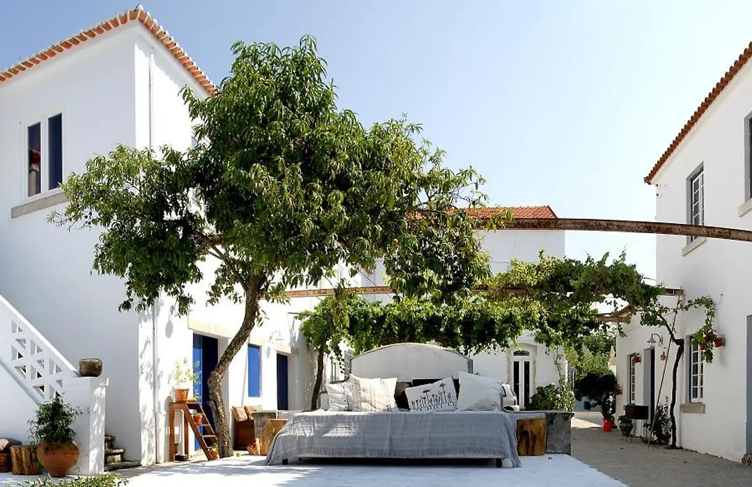 Oryza Guest House& Suites-1