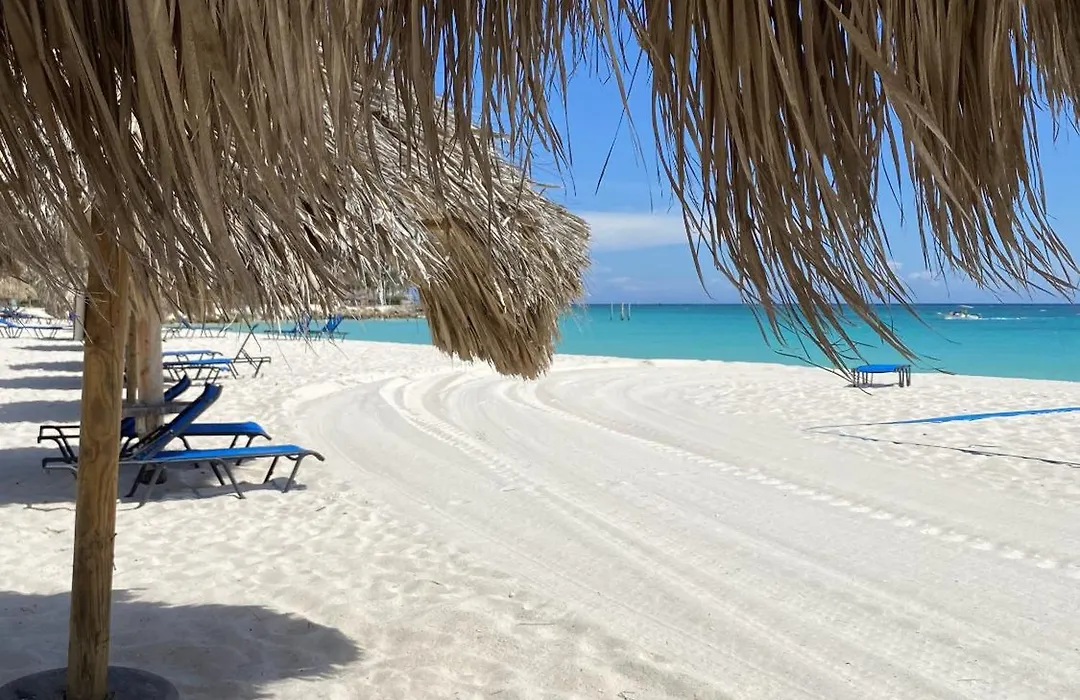 Movida Inn Aruba-1