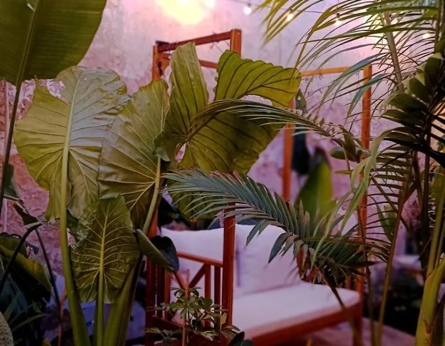 El Tapial-1