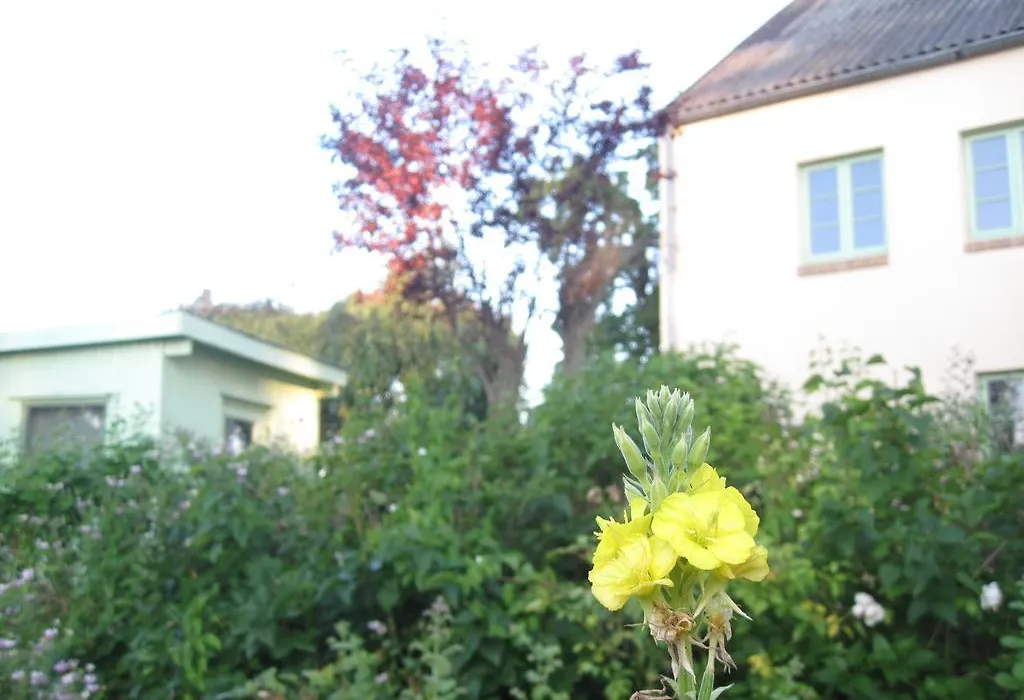 Hof Rodenkrog-1