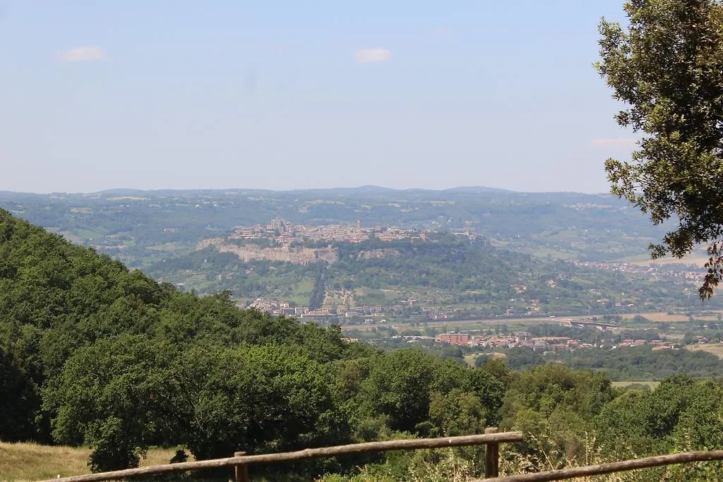 Agriturismo Fattoria Poggio Boalaio-1