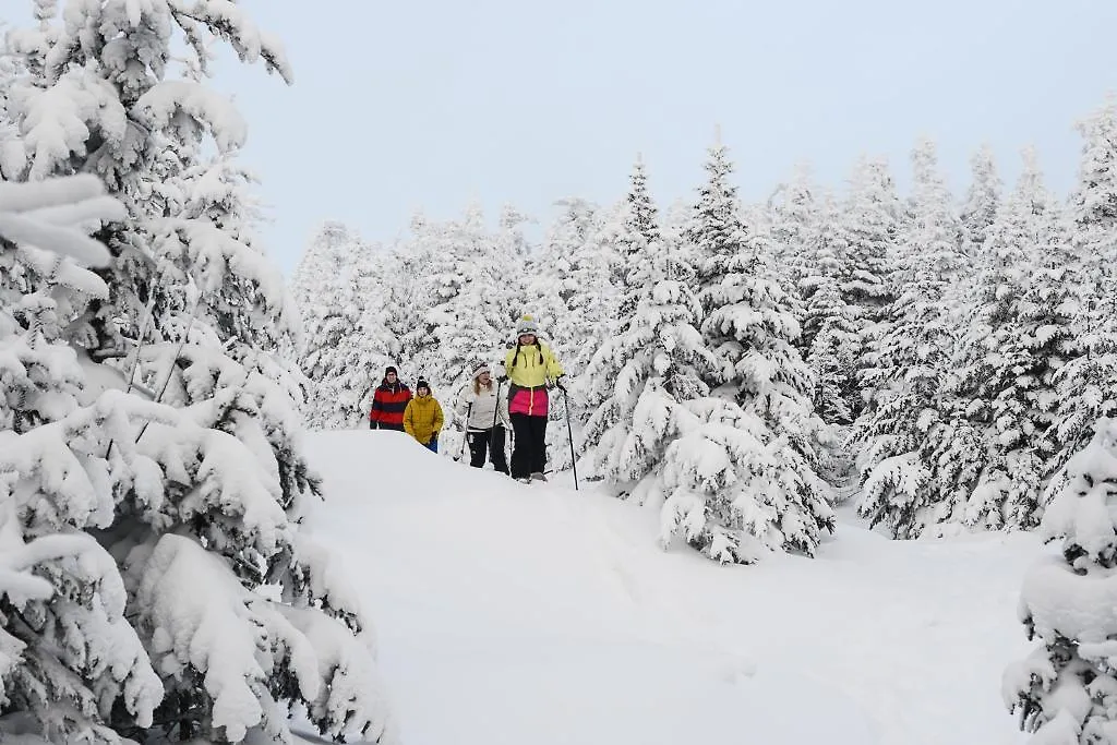 Vantage Point Villas At Stratton Mountain Resort-1
