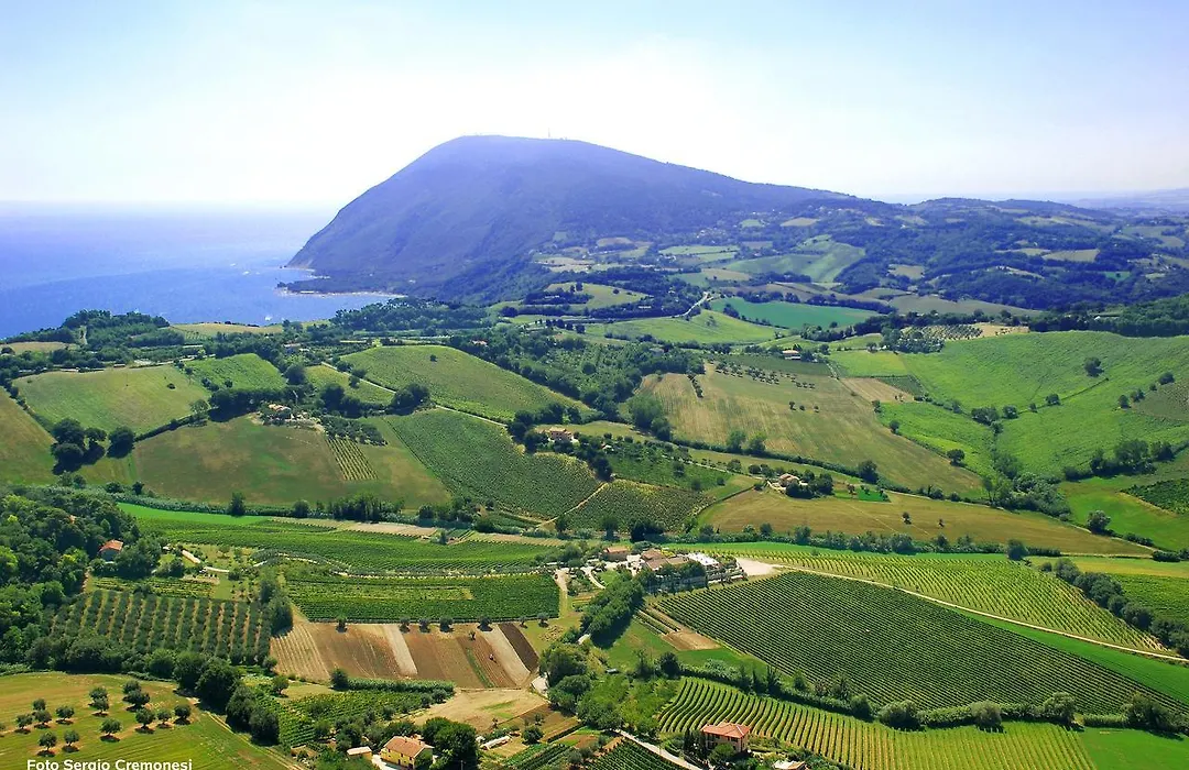 Agriturismo Le Vigne del Conero-1