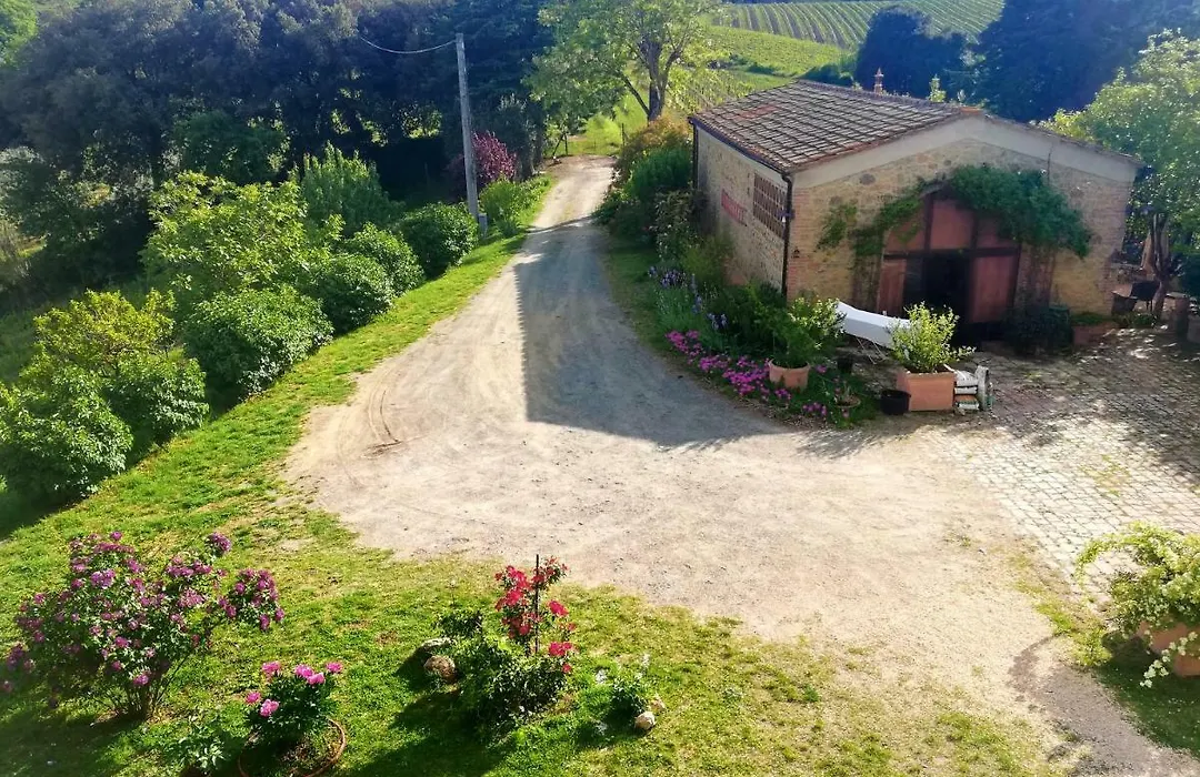 Il Palagione-1