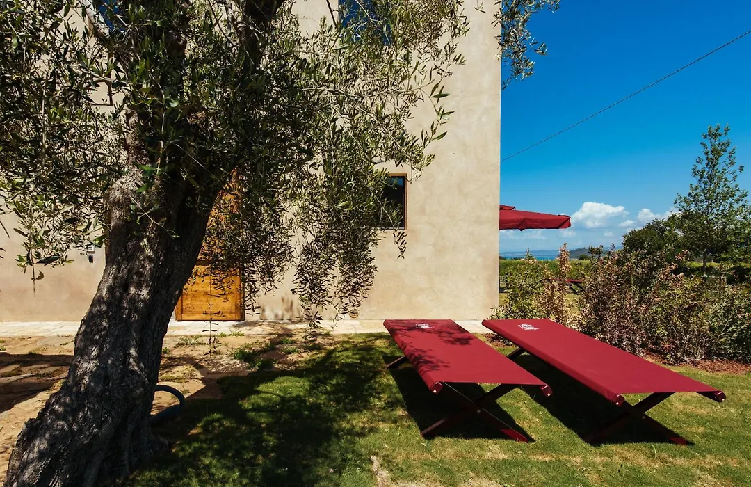 Torre di Baratti Bio Resort-1