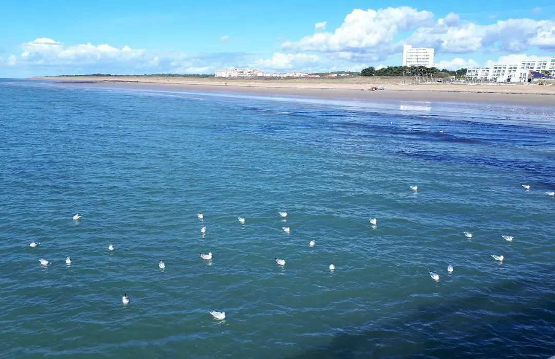 Vendée Vue Mer-1
