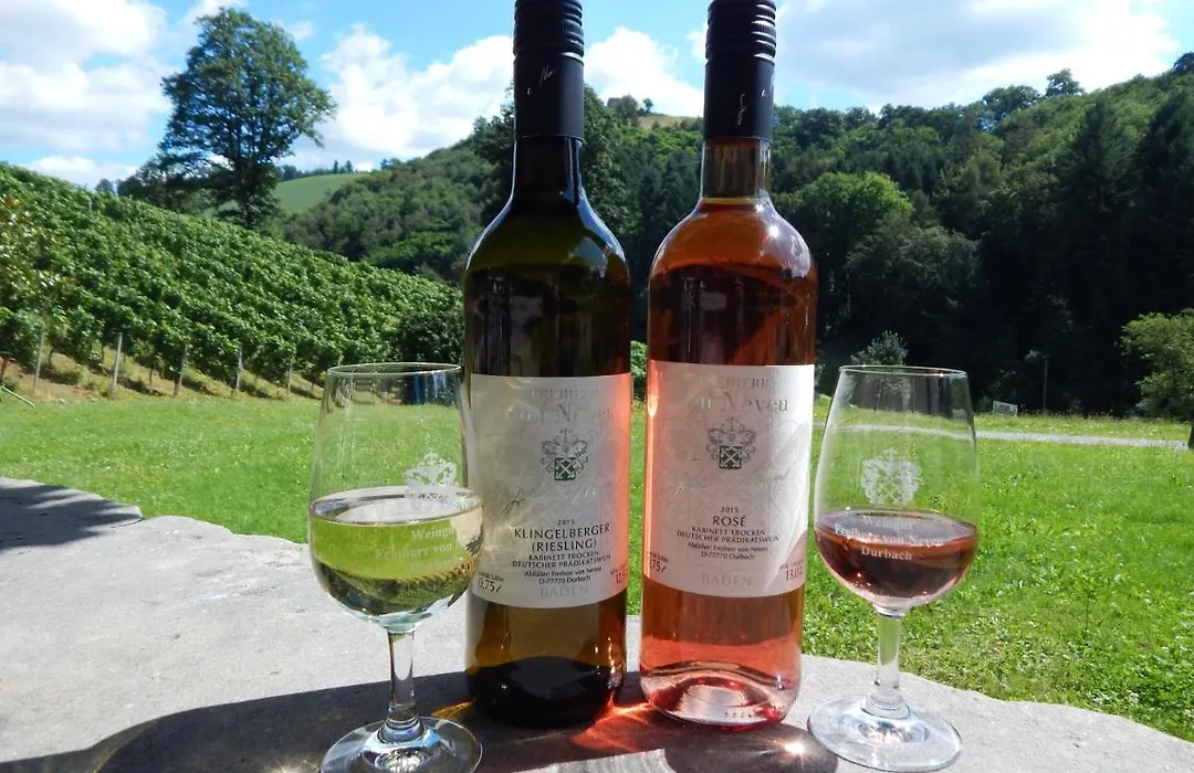 Wein Lodge Durbach - Gruppenhaus Weingut Neveu-1