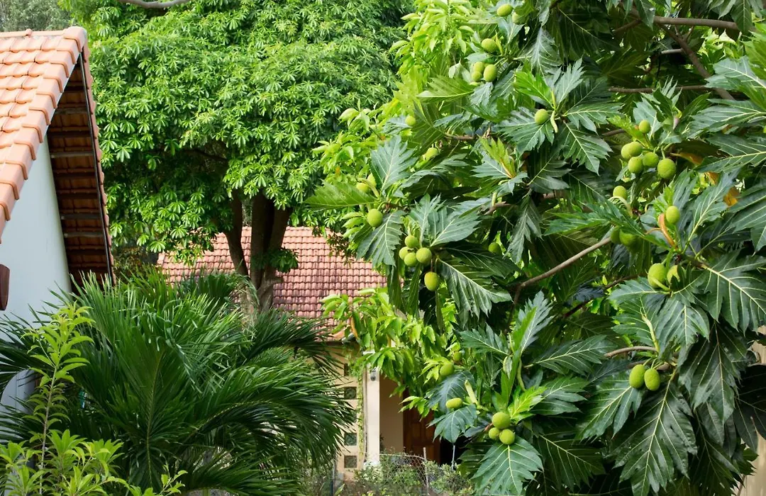 Spring Garden Homestay-1