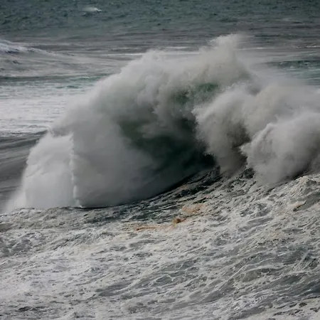Wave Home-3