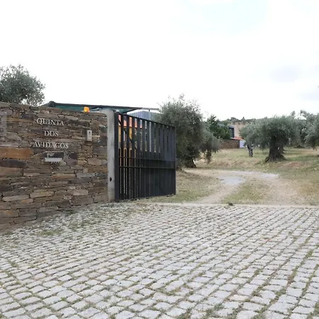 Quinta Dos Avidagos - Agroturismo, Mirandela-3