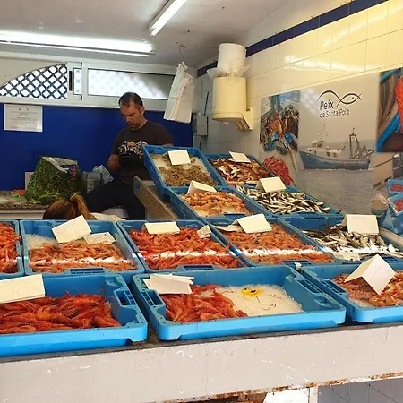 75 Avinguda De Murcia-2