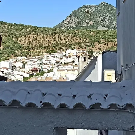 Alvarado Loft Rural-2