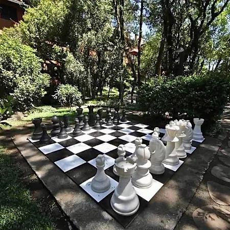 Resort Com Natureza No Centro-3