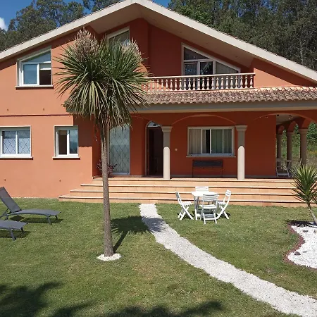 Casa silvosa-2