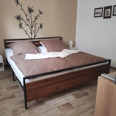 Ferienwohnung Ostrau-2