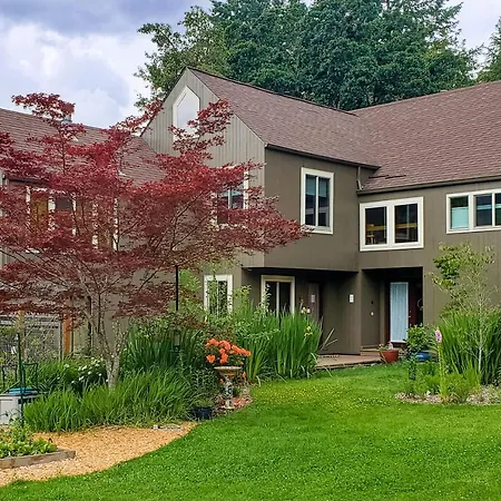 Serendipity House-3