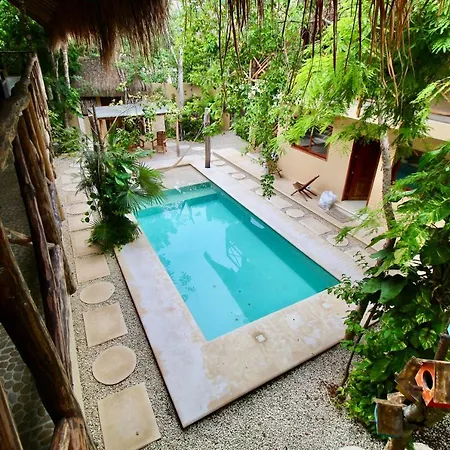 La Selva Apartments Tulum-2
