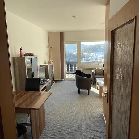 Seeblick App Am Berg vor den Toren Winterbergs-2