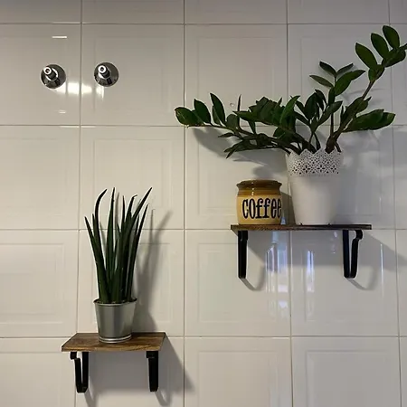 Suite Rural Oasis-2