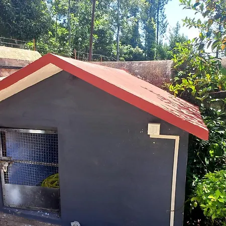 Istays - Yercaud Villa-3