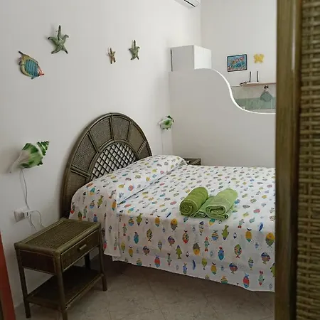 Monolocale Verde Con Balcone Conchiglie Fiori A Le Forna-3