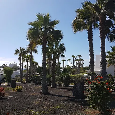 Palmeras Garden-3