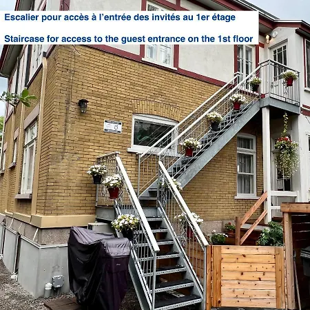 Gite du Quartier des Arts-2