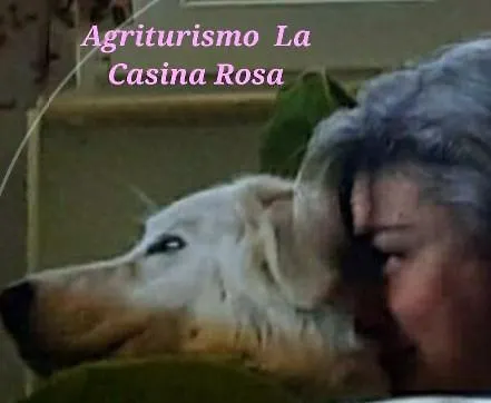 Agriturismo La Casina Rosa-2