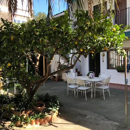 Casa Las Violetas-3