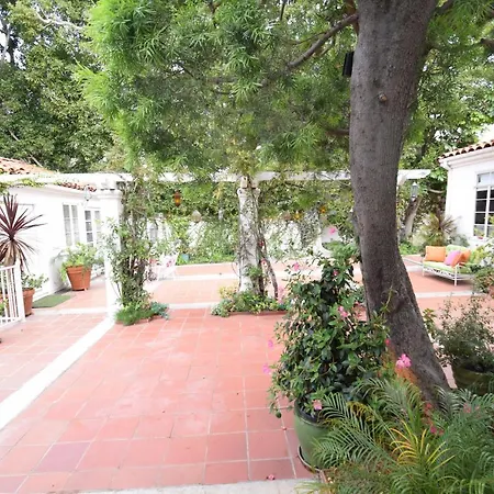 Beverly Hills Celebrity Home-2
