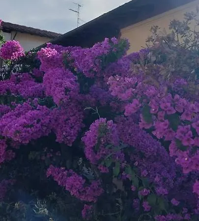 Casa Fiorita-3