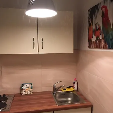 Ferienwohnung Stadtmitte Würzburg-3