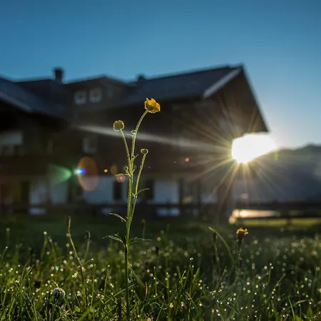 ALPENHAUS Steiner-2
