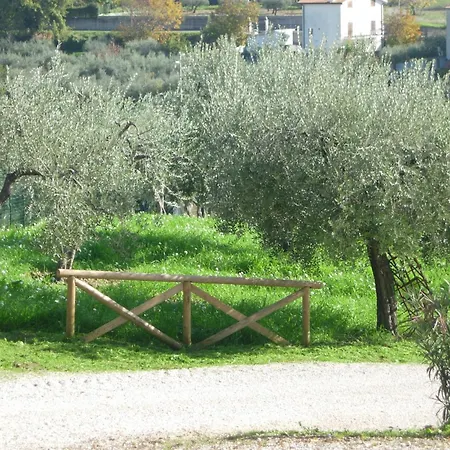 Agriturismo Angelucci-2