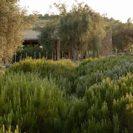 Iuta Farm-2